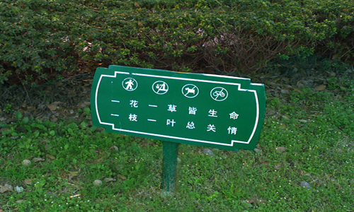 运动场草坪：打造绿色运动盛宴